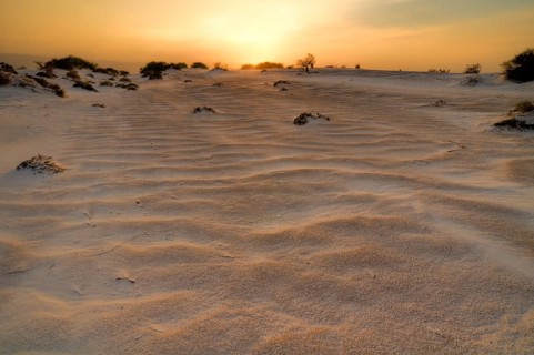 Gypsum dunes of Las Arenales in Cuatro Cienegas Nature Reserve