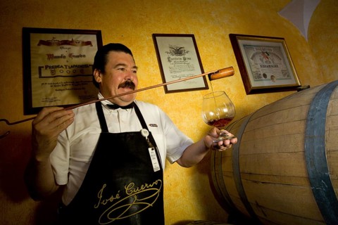 Master distiller checking the quality