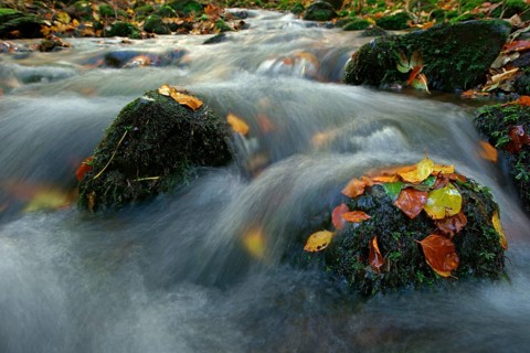 Nidda river in autumn