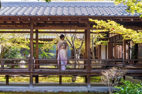 Japanese woman dressed in kimono