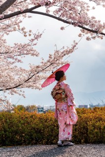 Japanese woman in traditional clothes
