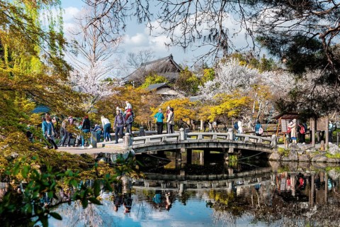 Lake with bridge in Maruyama Park