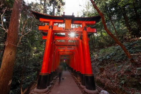 Fushimi Inari Taisha