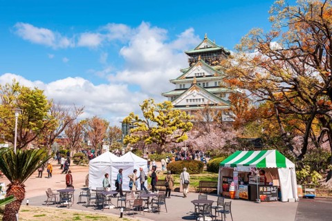 Japanese Castle
