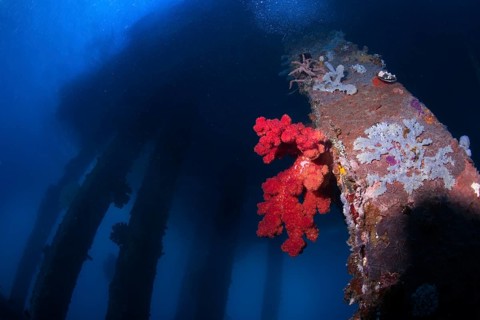 Old abandoned pier for tankers and supply boats