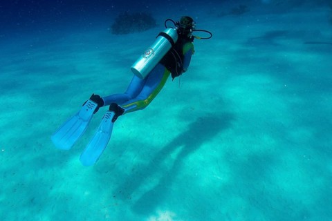 Scuba diver