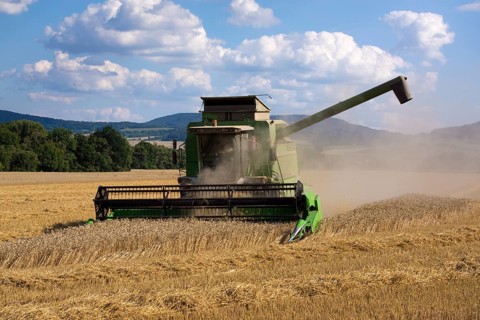 Combine harvester working in a wheat field