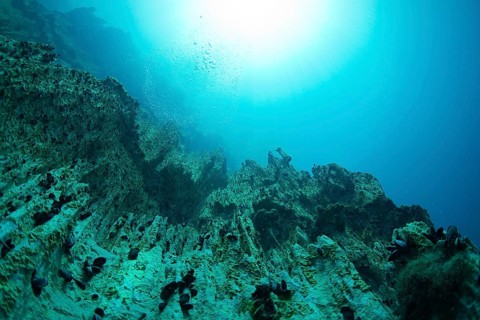 Barracuda Lake