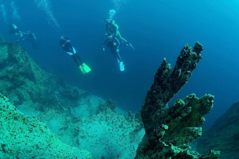 Scuba divers in Barracuda Lake
