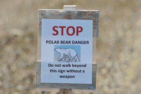 Polar bear warning sign