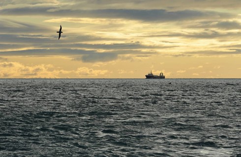 Ship in the Isfjorden fjord