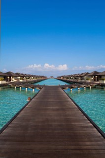 Jetty