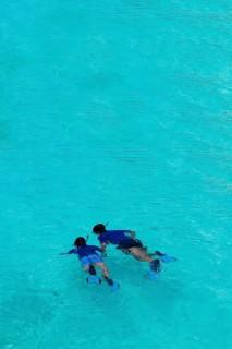 Snorkelers off a Maldivian island