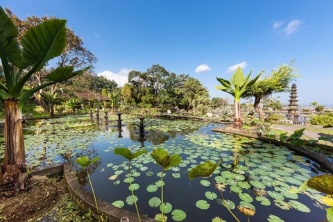 Tirta Gangga or Tirtagangga water palace