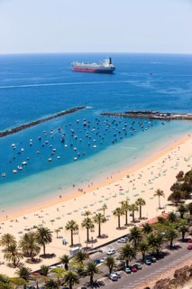 The sandy beach of Playa de las Teresitas with palm trees