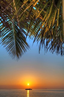 Sunset with a Dohni