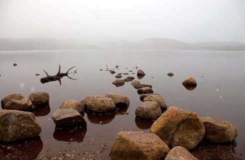 Loch Morlich