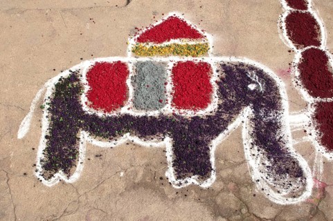 Elephant