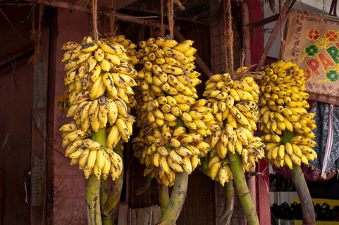 Bananas