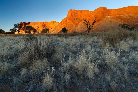 Petrified dunes of the Urnamib