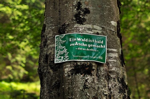 Warning sign in German on a tree to prevent forest fires