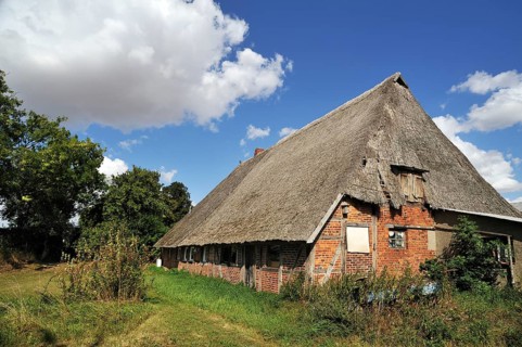 Old farmhouse with low thatched roof