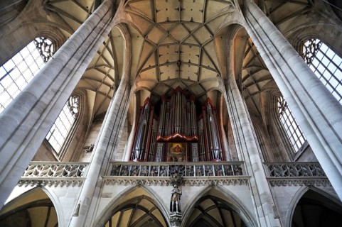 Rieger organ