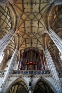 Rieger organ