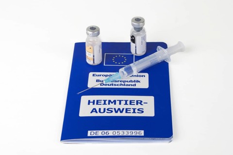 A syringe and vials on an EU pet passport