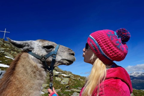 Young woman with a llama