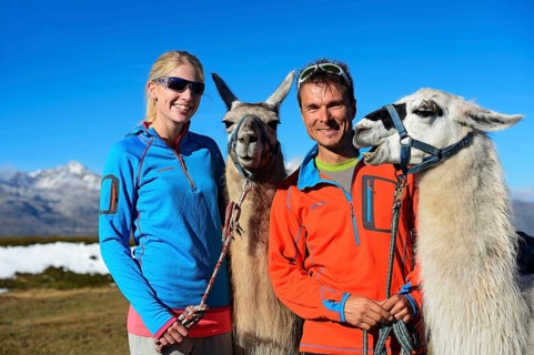 Tourist during a llama tour to the summit of Boeses Weibele Mountain in the Defregger Group