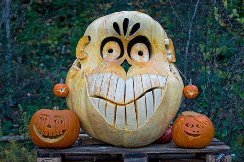 Face carved into a large pumpkin
