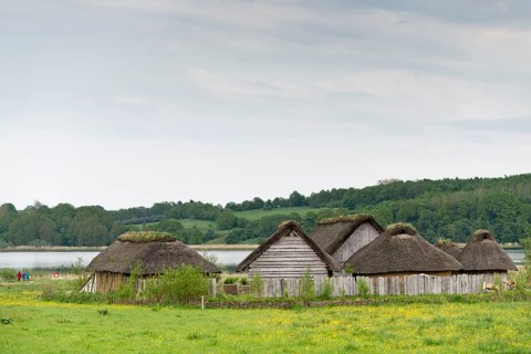 Reconstructed Viking houses with thatched roofs