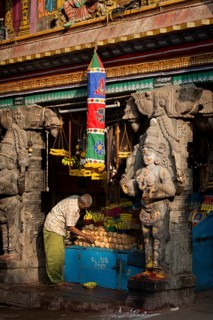 Stall and vendor