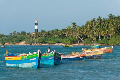 Colourful fishing boats and palm trees