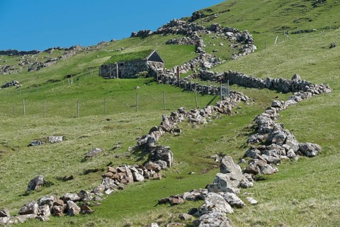 Ancient walls that limit the sheep's way during a sheep drive