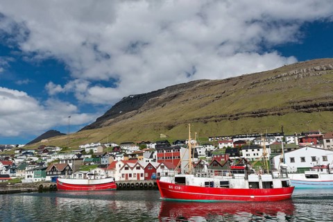 Fishing boats in the harbour