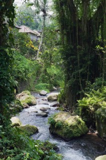 Pakrisan River flowing through the jungle of Gunung Kawi