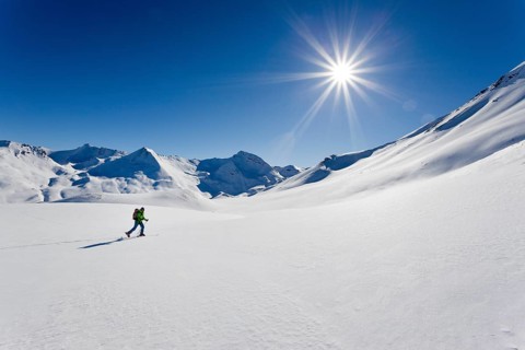 Cross-country skier in a snowy winter landscape