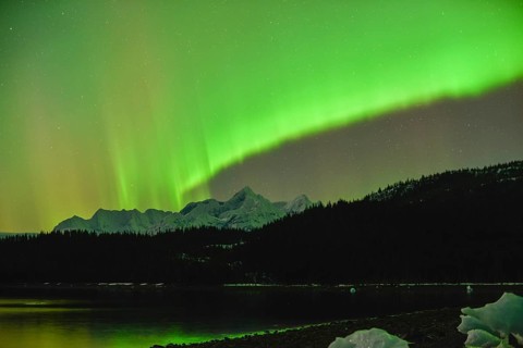Alaska's 9