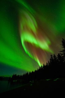 Northern lights