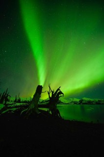 Northern lights