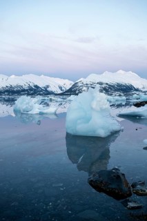 Icebergs at College Fjord