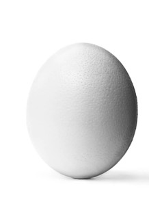 Ostrich egg