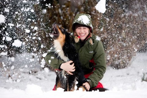 Young woman playing with an Australian Shepherd dog in the snow