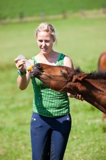 Young woman feeding a foal with a milk bottle