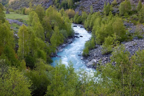 Veneon River