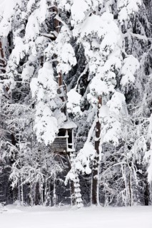 Raised hide in a snow-covered forest