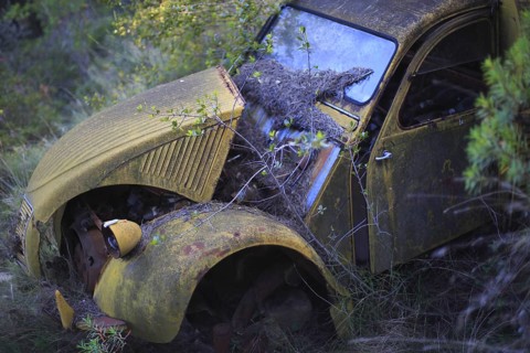 Citroen 2CV AU van