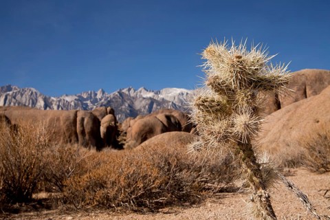 Rock formations of the Alabama Hills